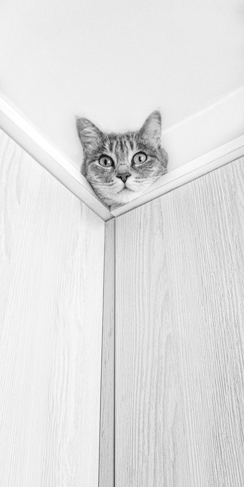 Фотография автора Elena Safarova