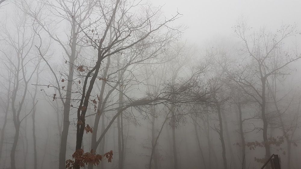 Photograph by Serdar AVCI