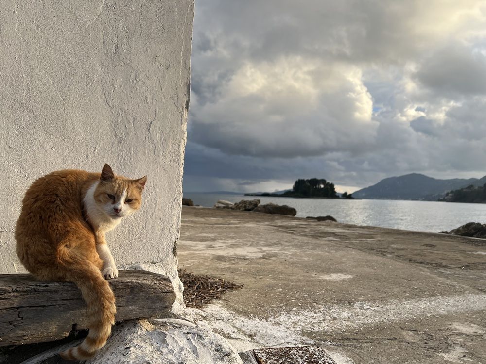 Photograph by Eleni Christogianni