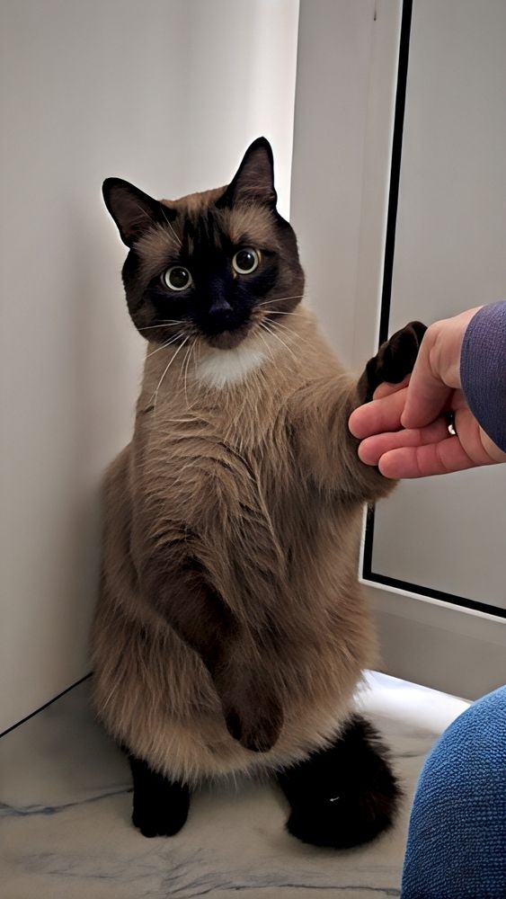 Photograph by Вахромова Елена