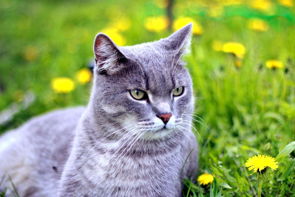 Photograph by Денис Пискунов