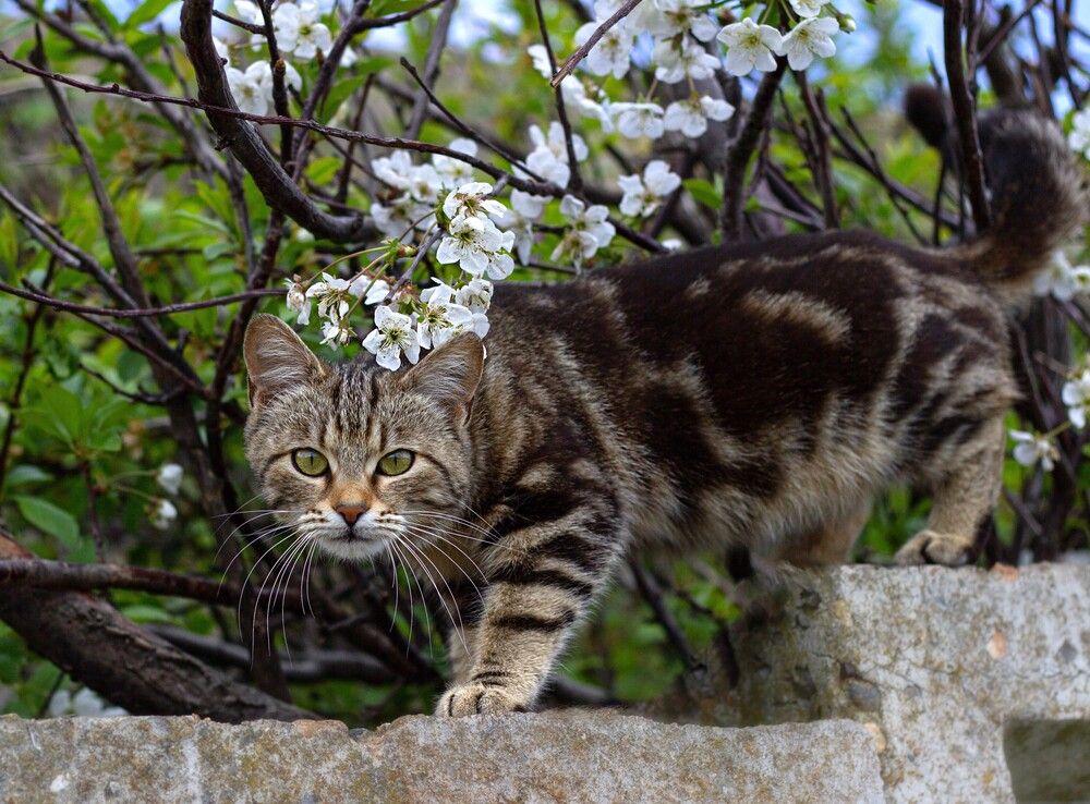 Photograph by Наталья Шевелева