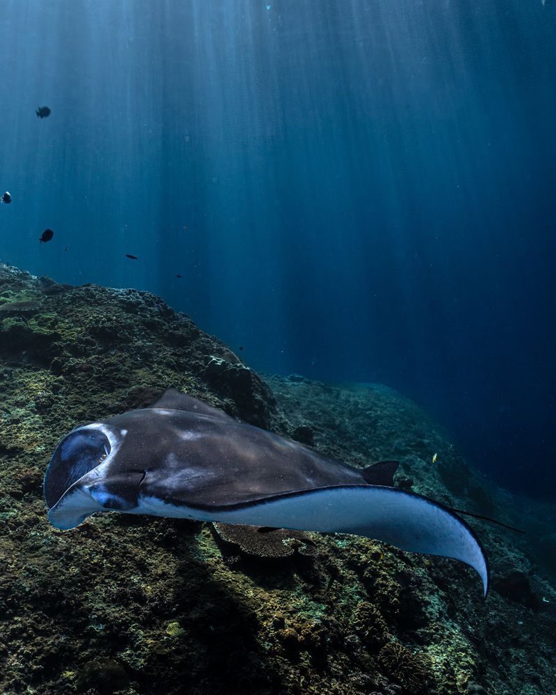 Фотография автора Daria Sinitsina