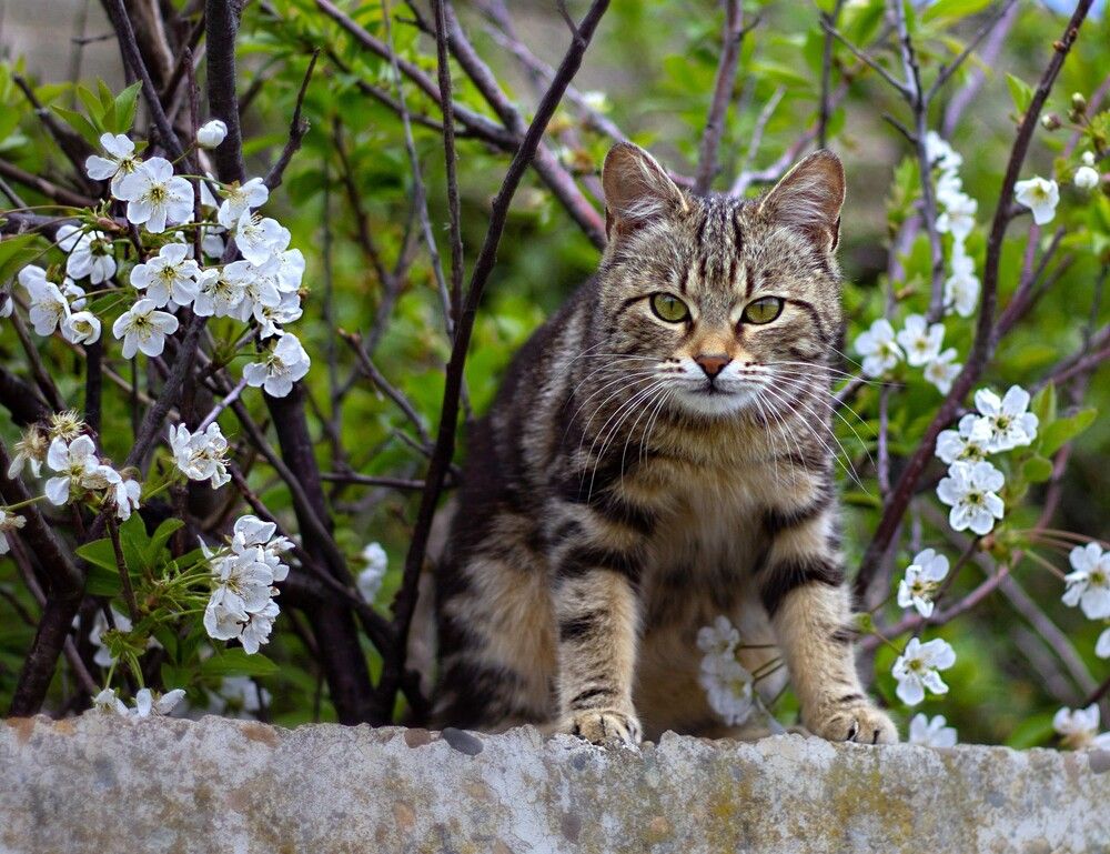 Photograph by Наталья Шевелева