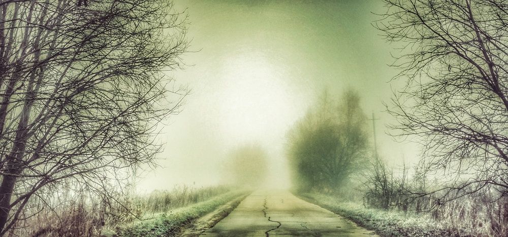 Photograph by Ирина Садовникова