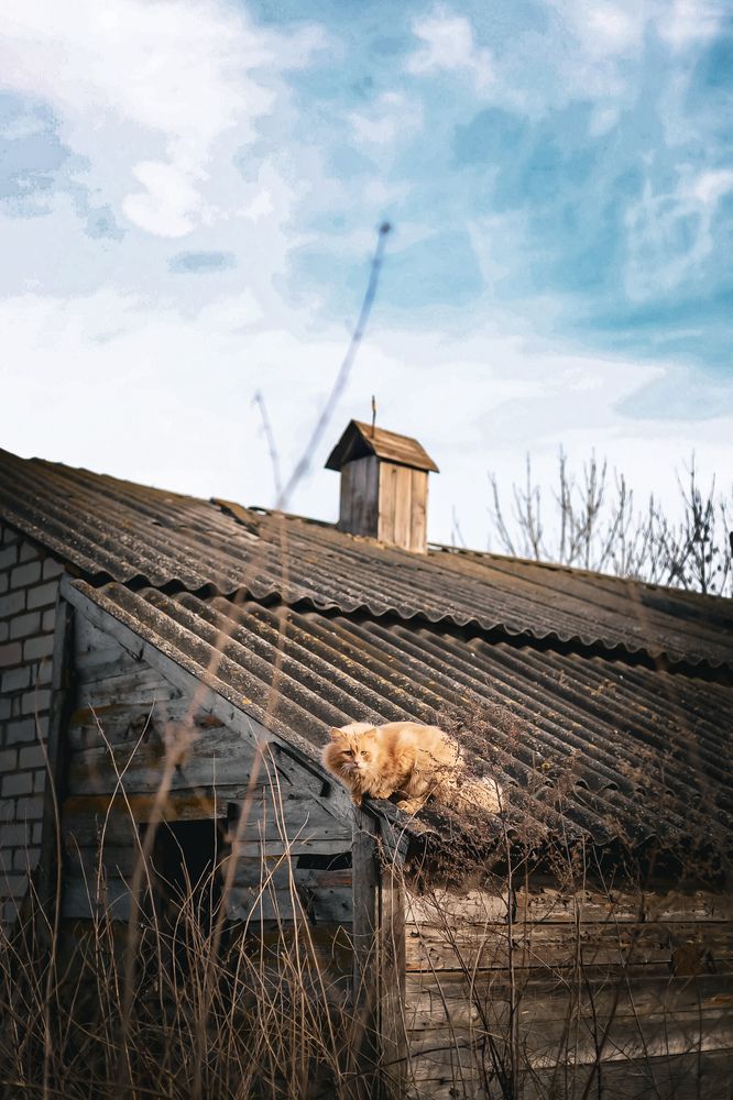 Photograph by Руслана Ковалевская