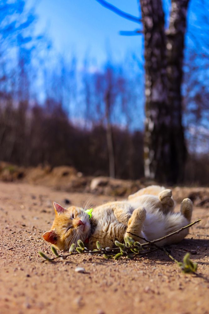 Photograph by Руслана Ковалевская