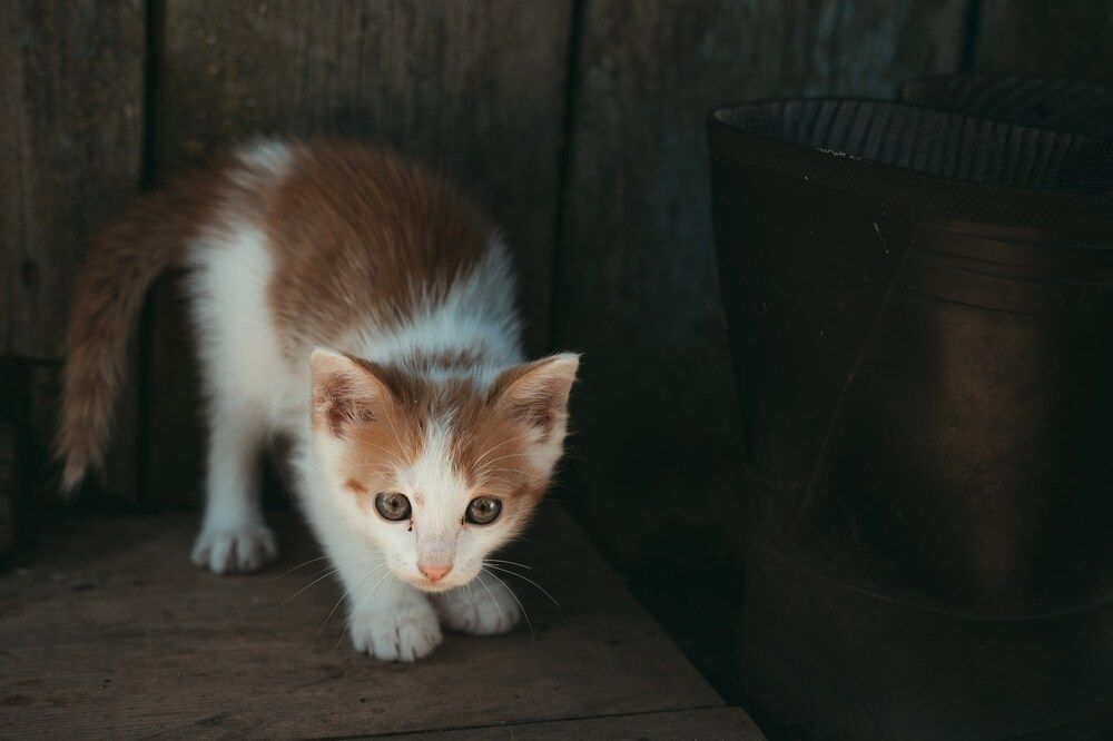 Photograph by Slava Storozhev