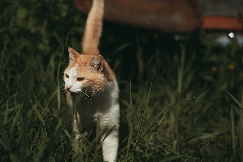 Photograph by Slava Storozhev