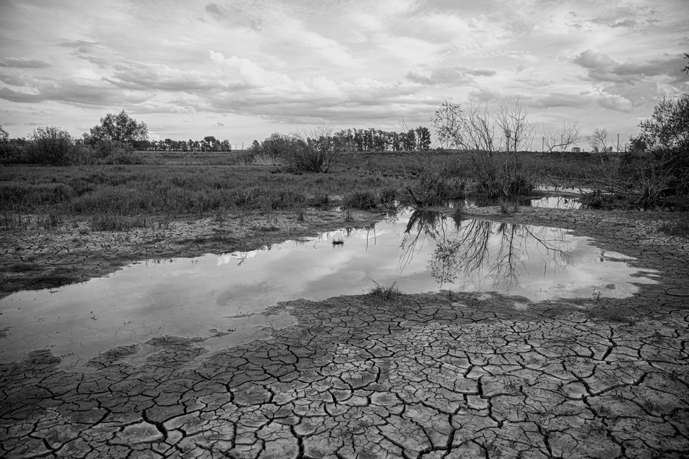Photograph by Лапина Татьяна