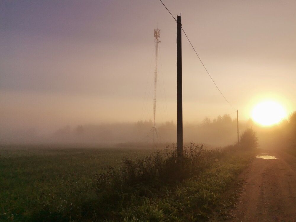 Photograph by Ирина Садовникова