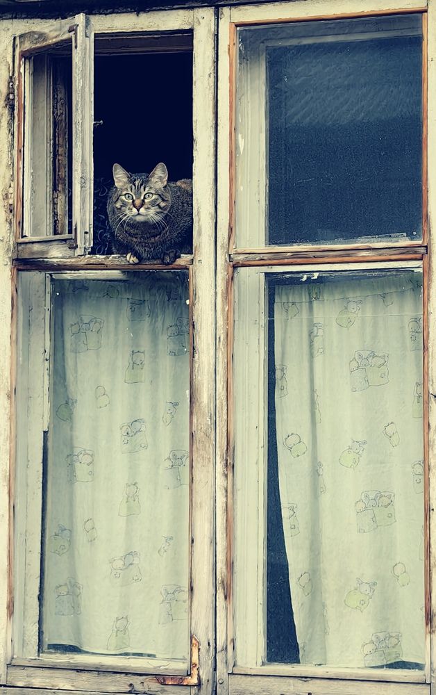 Photograph by Maiya Bulatova