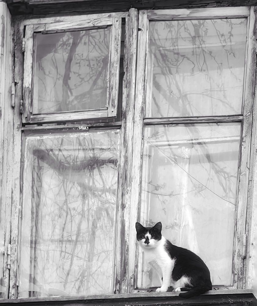 Photograph by Maiya Bulatova