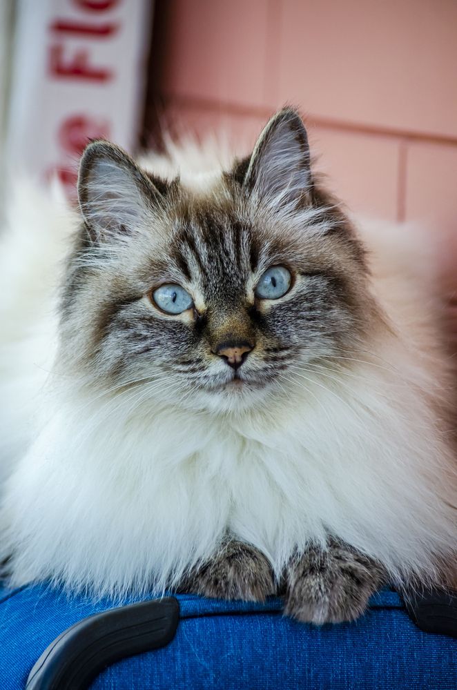 Photograph by Юлиана Иванова