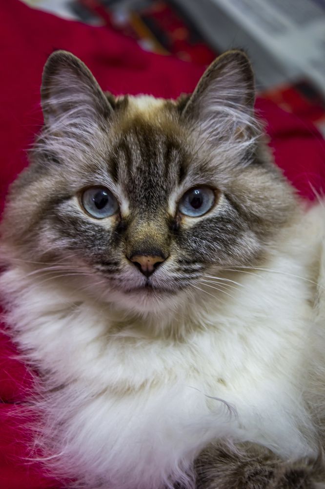 Photograph by Юлиана Иванова