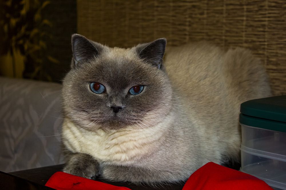 Photograph by Юлиана Иванова