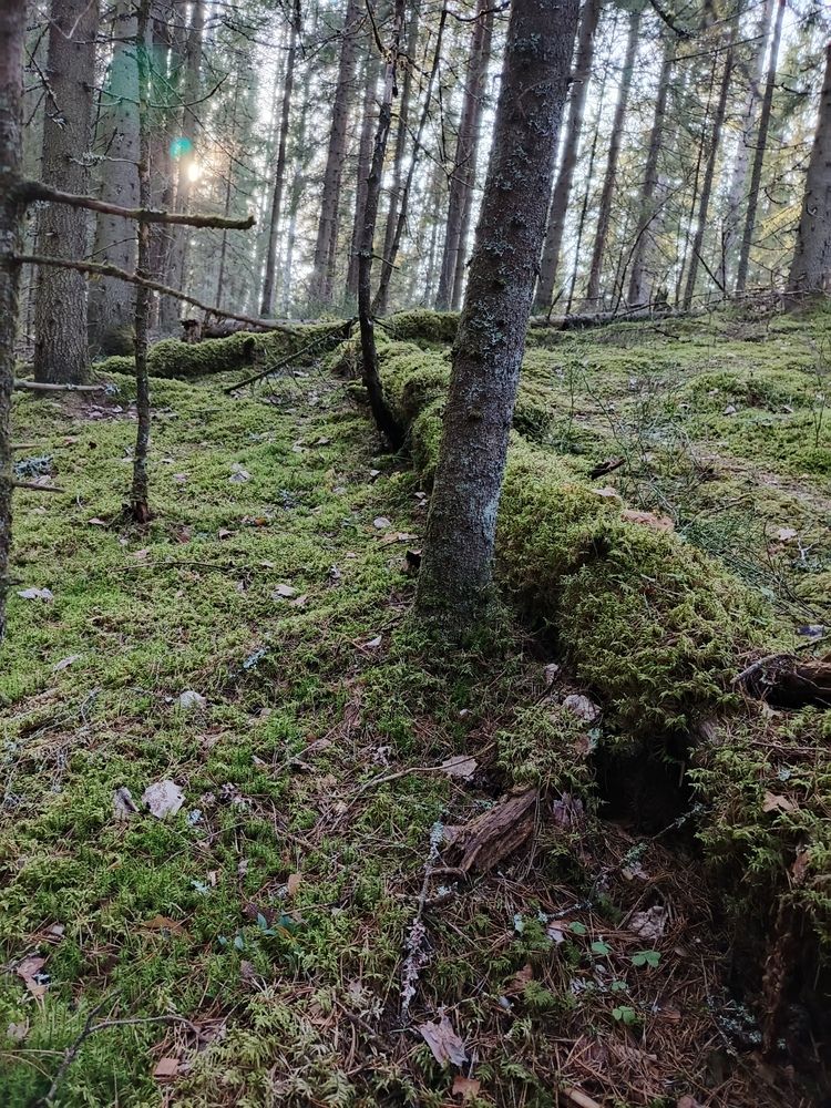 Photo #12210089