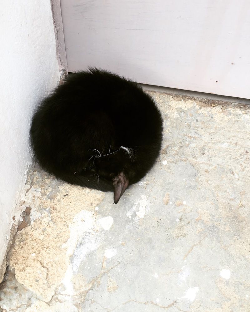 Photograph by Kheria