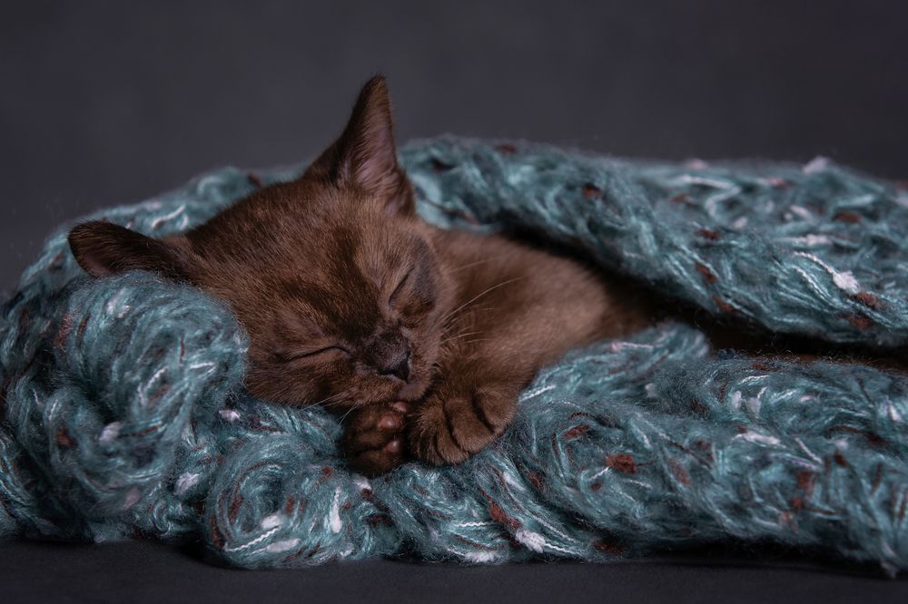 Photograph by Лилия Наконечная