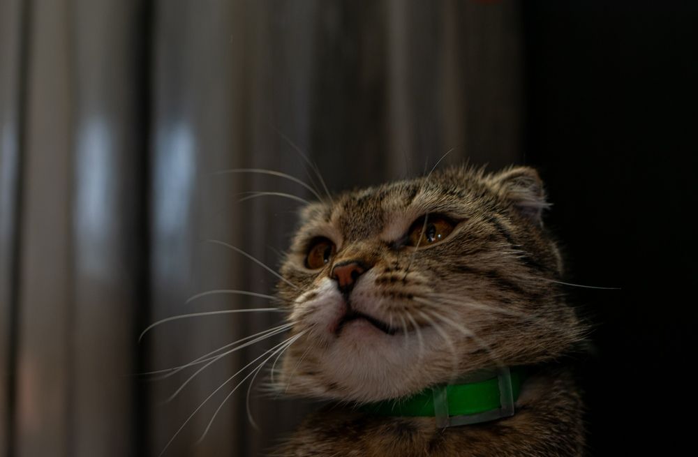 Photograph by Олег Алексеев