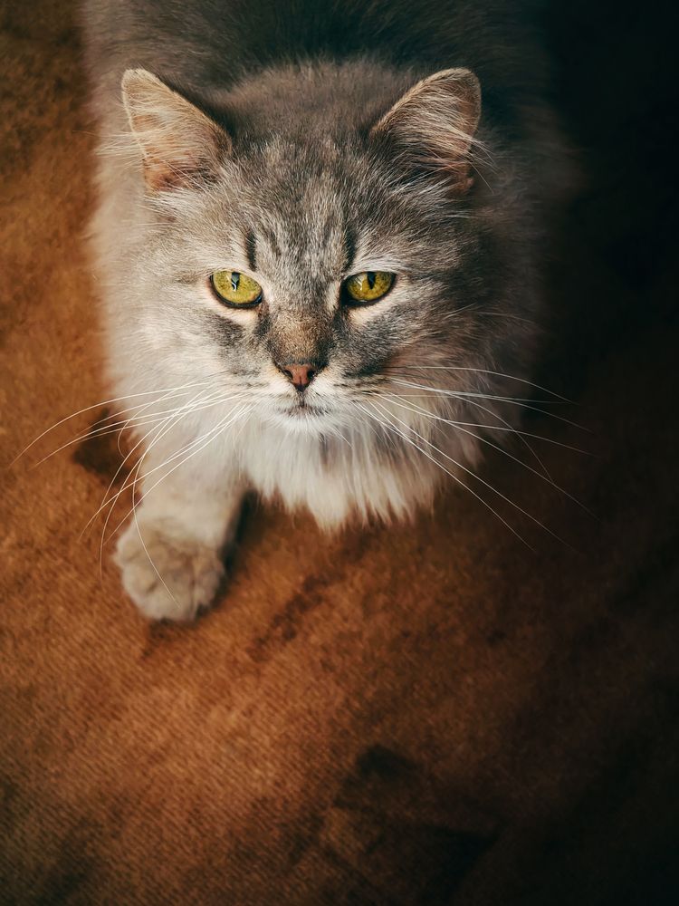 Фотография автора Владислав Белоус