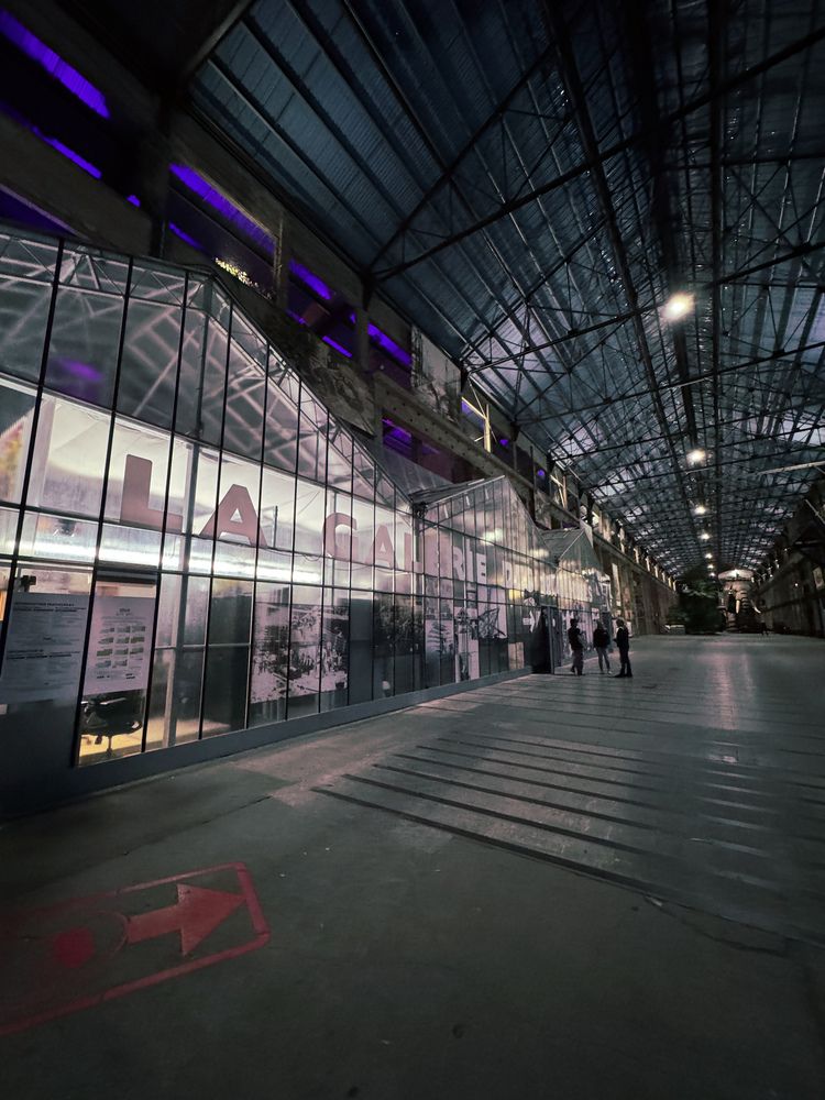 Photograph by Аlina BRAZIUL