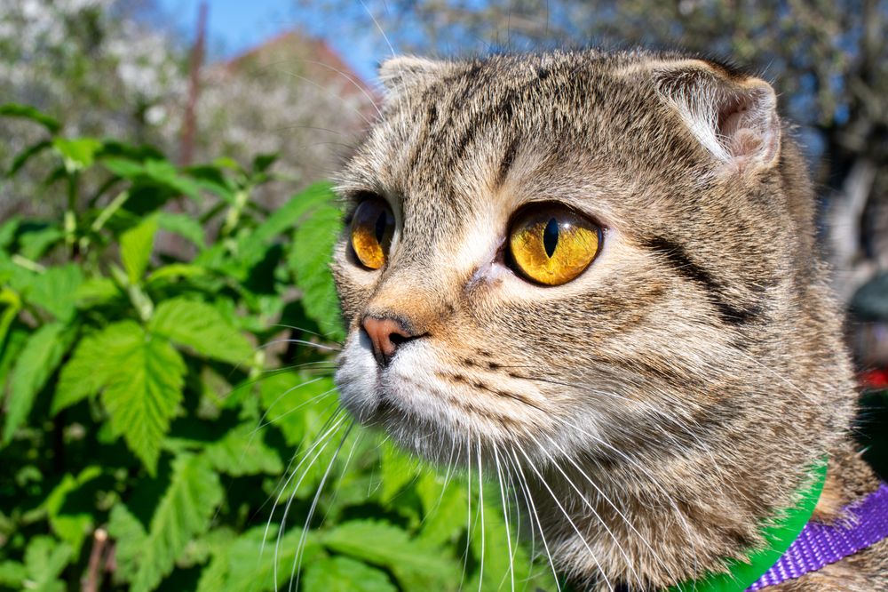 Photograph by Олег Алексеев