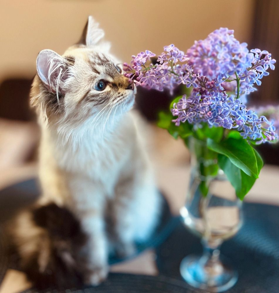 Photograph by Елена Смирнова