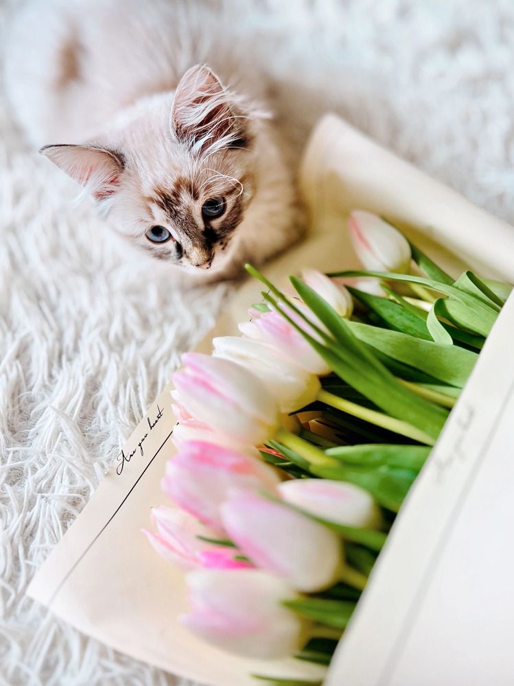 Photograph by Елена Смирнова