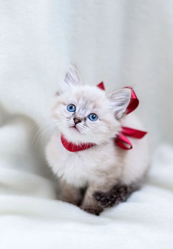 Photograph by Елена Смирнова