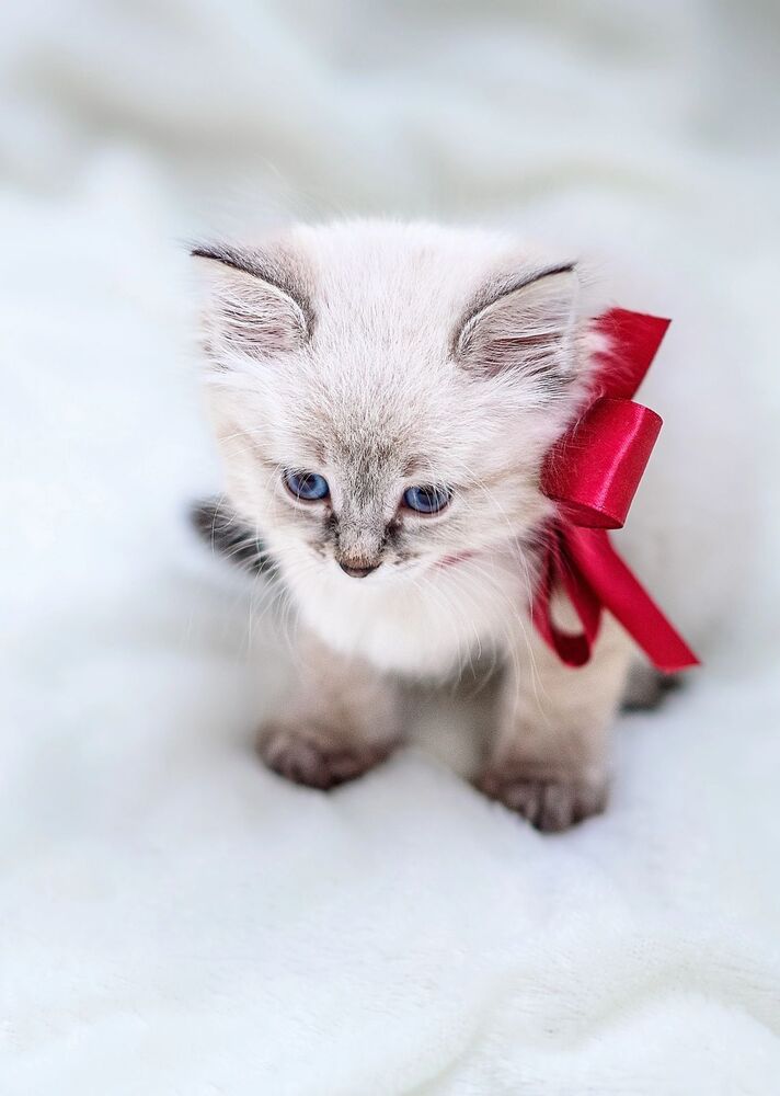 Photograph by Елена Смирнова