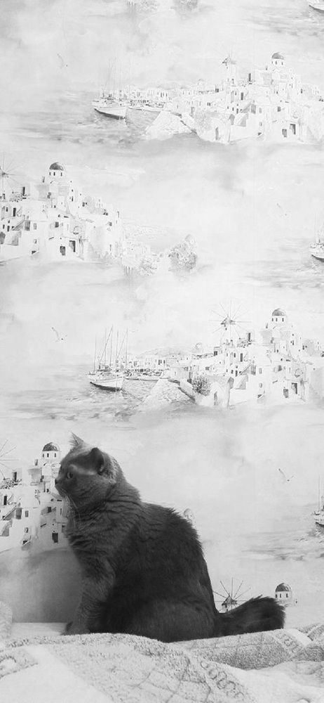 Модель в профиль. Позишн №1