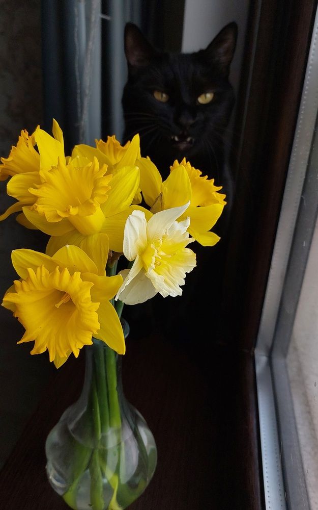 Photograph by Екатерина Горбунова
