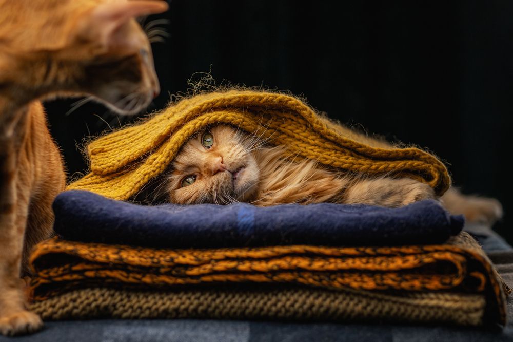 Photograph by Зубкова Юлия