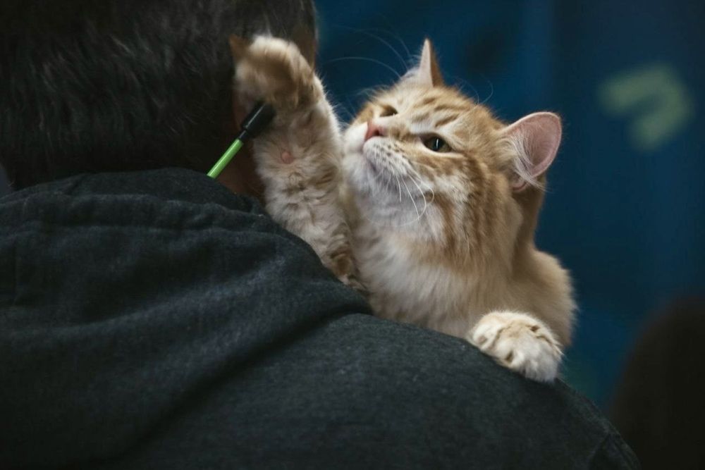 Photograph by Екатерина Козлова