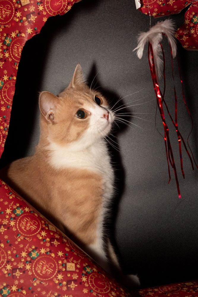 Photograph by Оксана Быковская