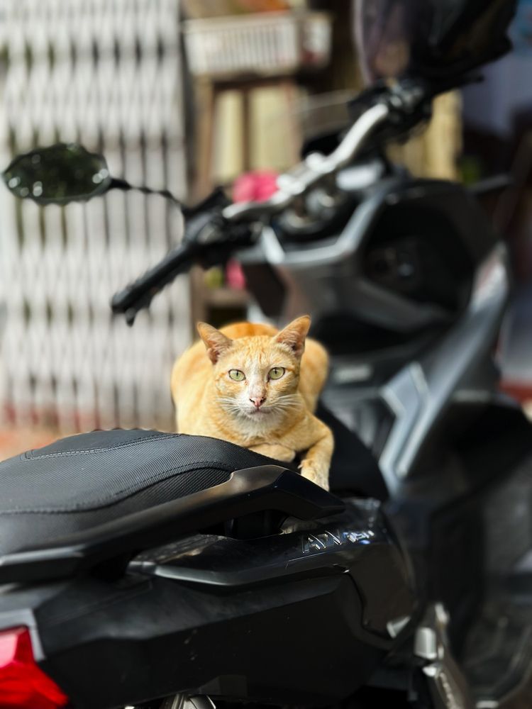 Photograph by Екатерина Козлова