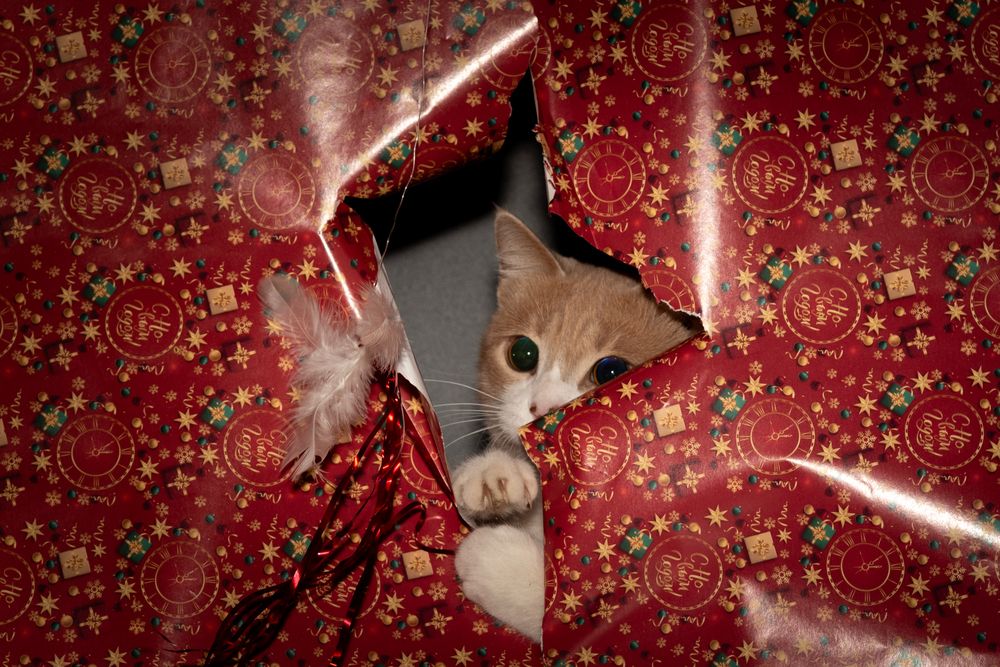 Photograph by Оксана Быковская