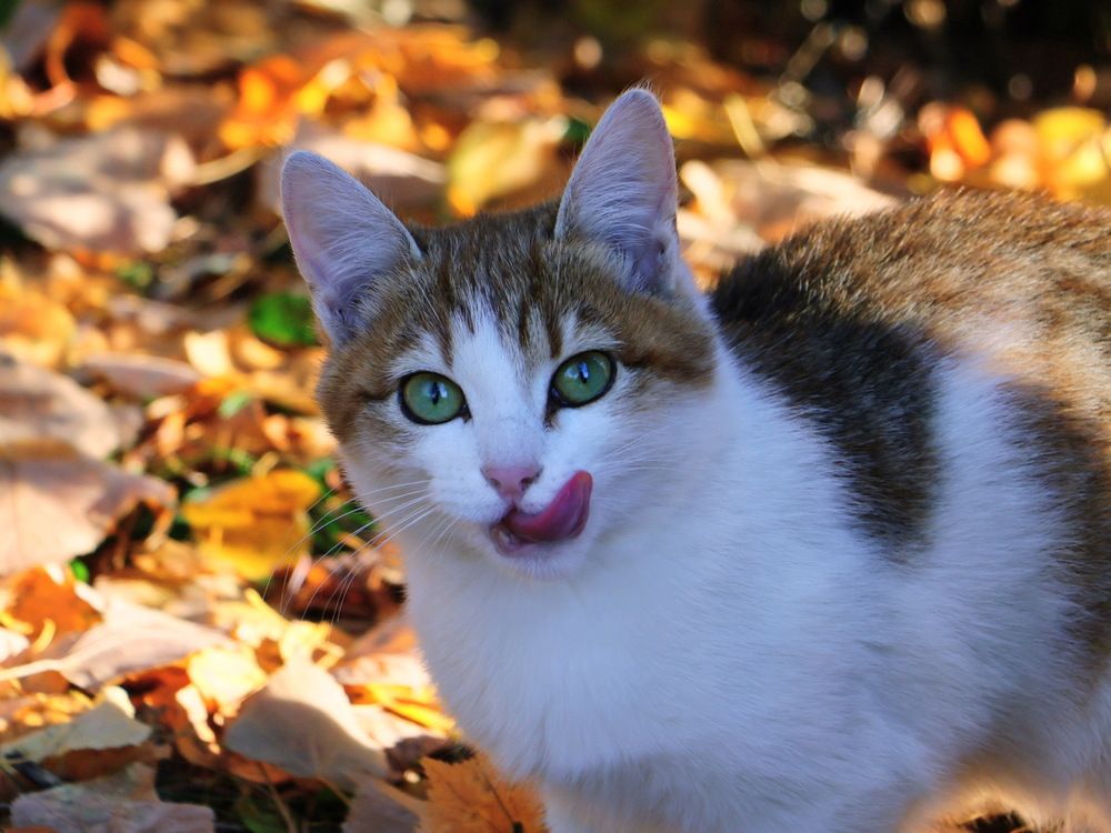 Photograph by Серёга Ануфриев