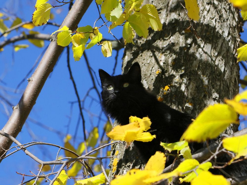 Photograph by Серёга Ануфриев