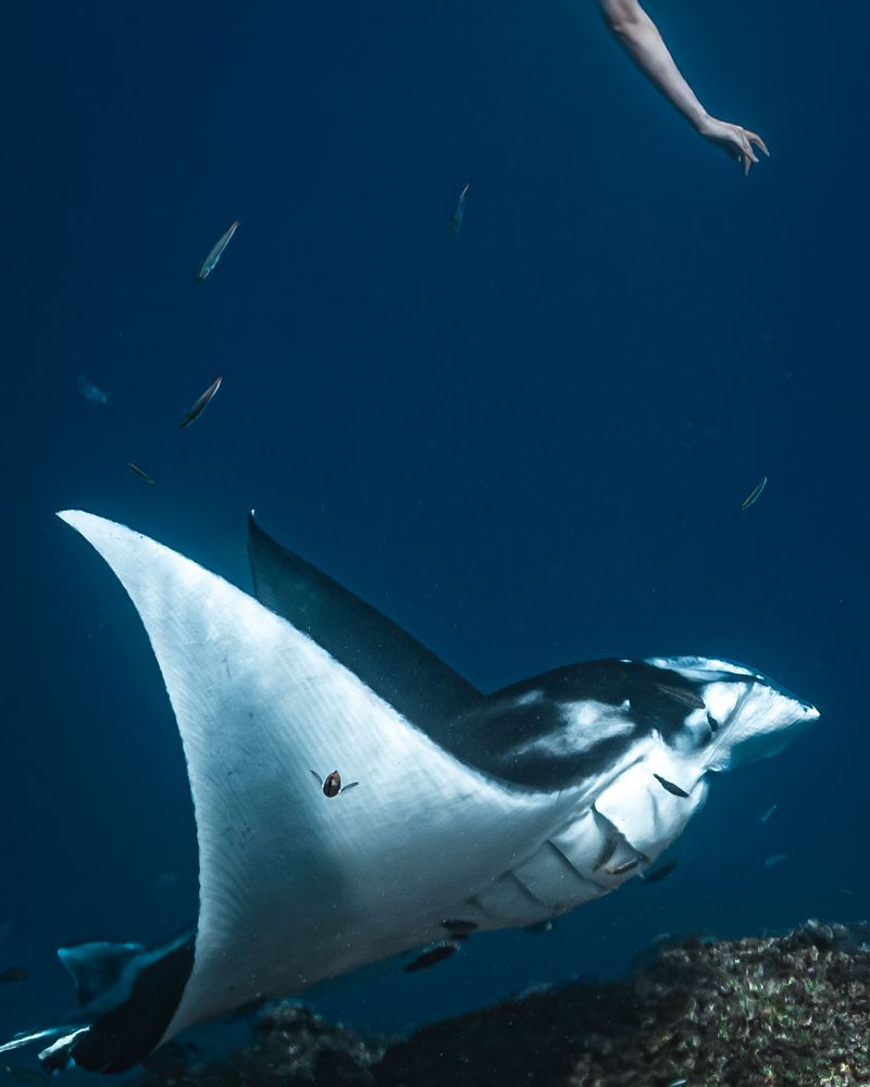 Фотография автора Daria Sinitsina