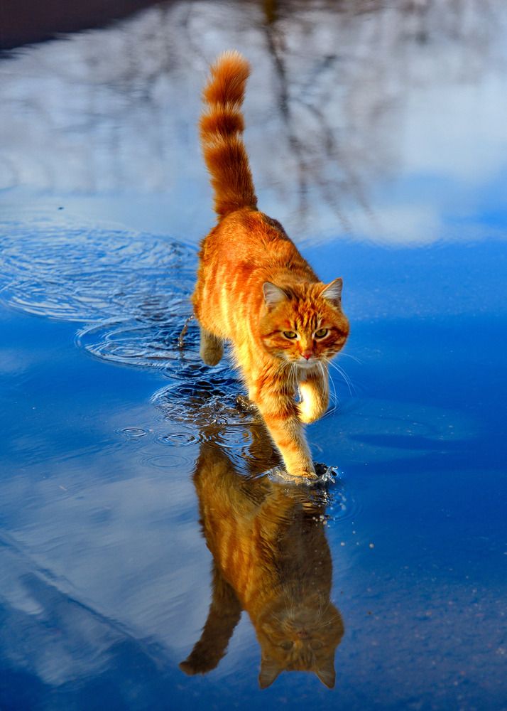 Photograph by Margarita