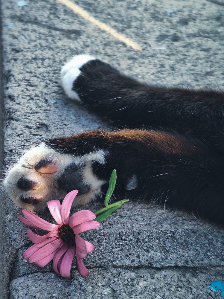 Photograph by Arina Vakili AV