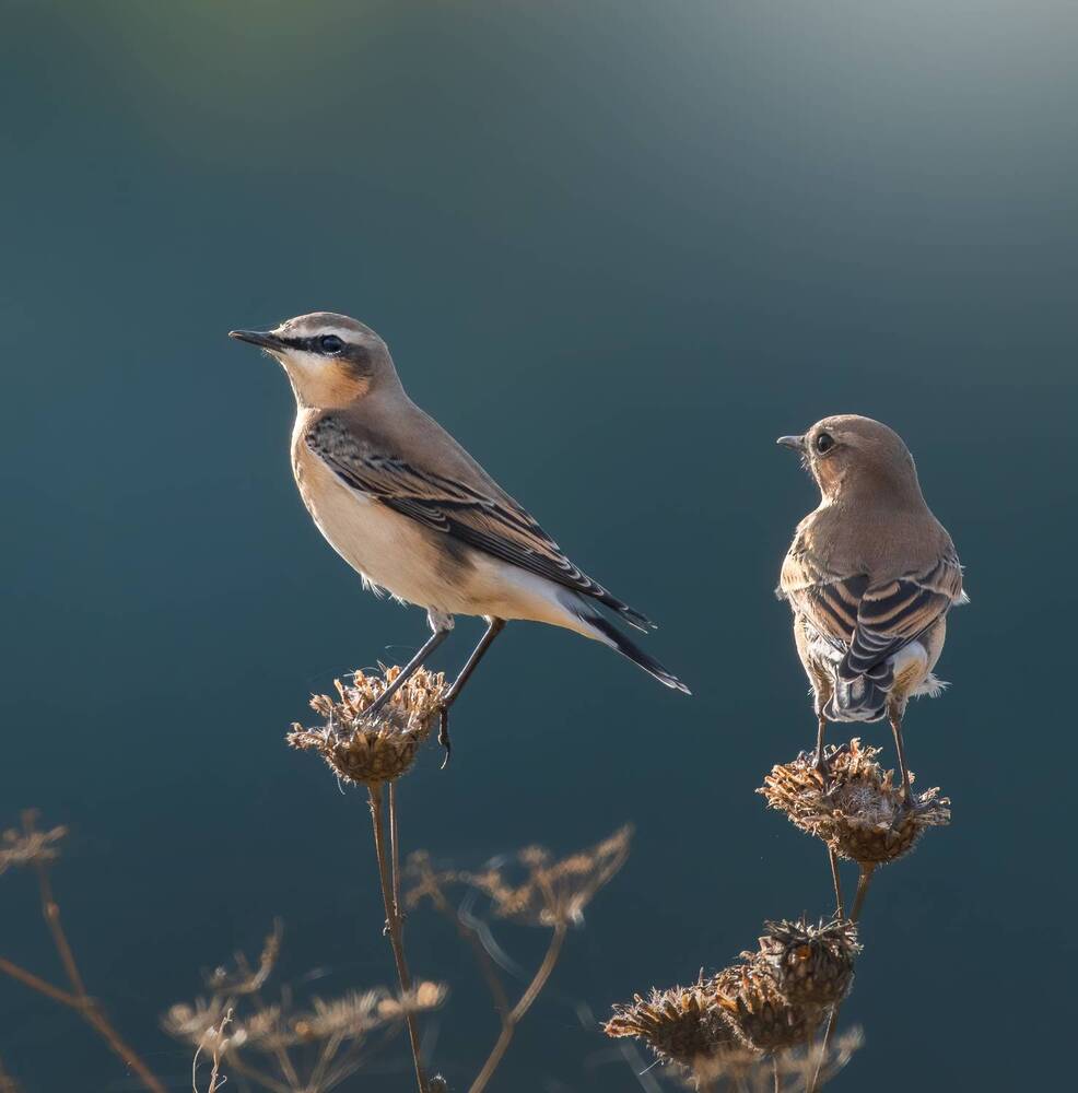 Photograph by Дарья