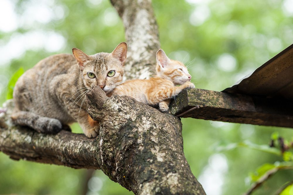 Photograph by Nguyen Minh