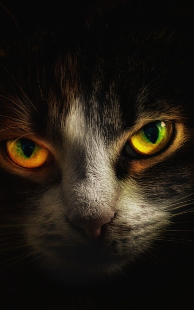 Photograph by Дайана