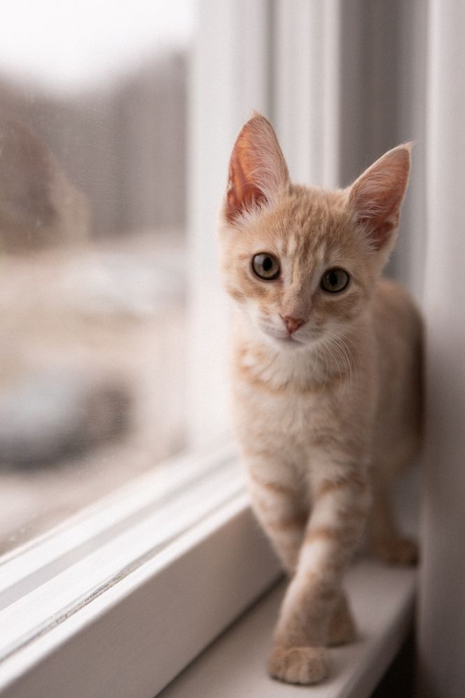 Photograph by Полина Петрова