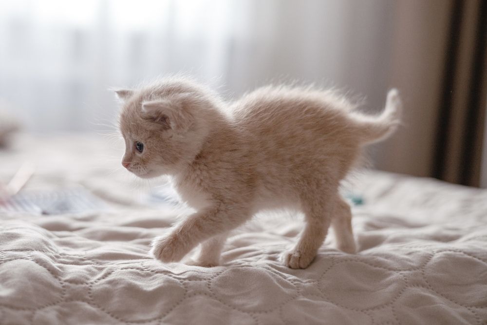 Photograph by Полина Петрова