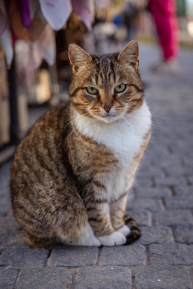 Photograph by Полина Петрова