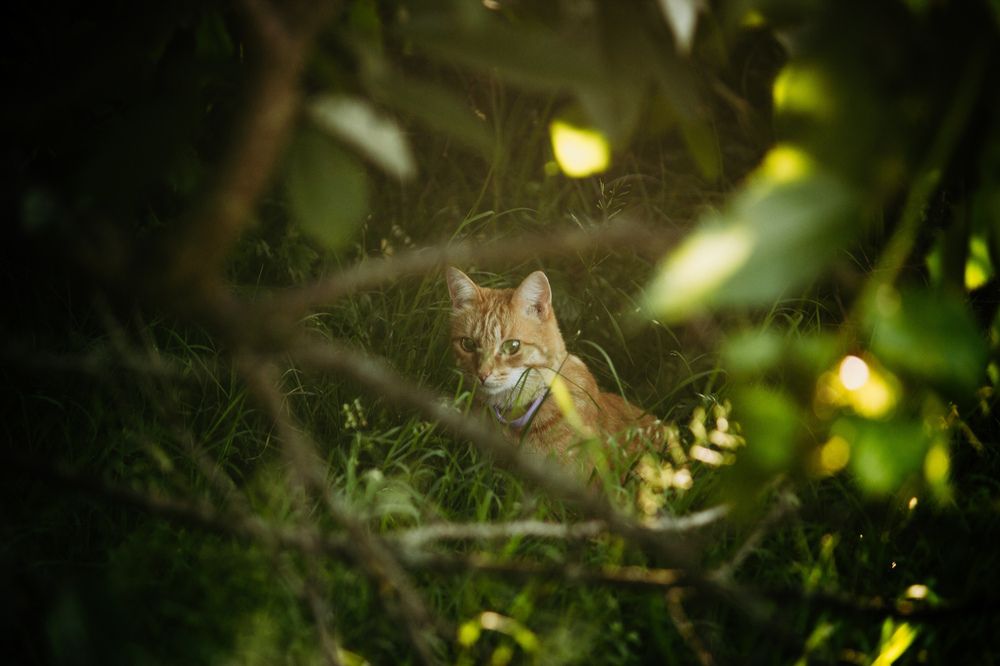 Photograph by Сергей Макаров